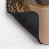 Bruin-kop Nuthatch Muismat (Hoek)