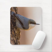 Bruin-kop Nuthatch Muismat (Met muis)