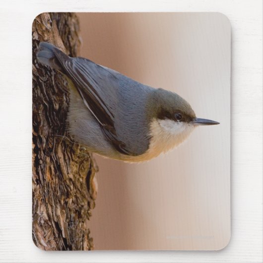 Bruin-kop Nuthatch Muismat (Voorkant)