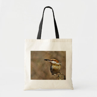 Bruin-kop Nuthatch tas