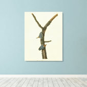 Bruin-kopige Nuthatch - Amerikaanse vogels Canvas Afdruk (Insitu (Houten vloer))