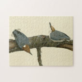 Bruin-kopige Nuthatch - Amerikaanse vogels Legpuzzel (Horizontaal)