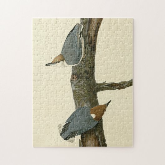Bruin-kopige Nuthatch - Amerikaanse vogels Legpuzzel (Verticaal)