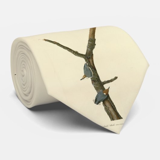 Bruin-kopige Nuthatch - Amerikaanse vogels Stropdas (Opgerold)