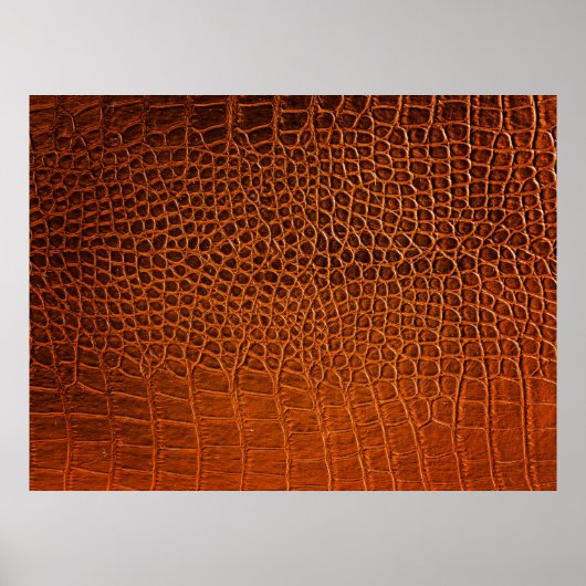 Bruin krokodilleder poster (Voorkant)