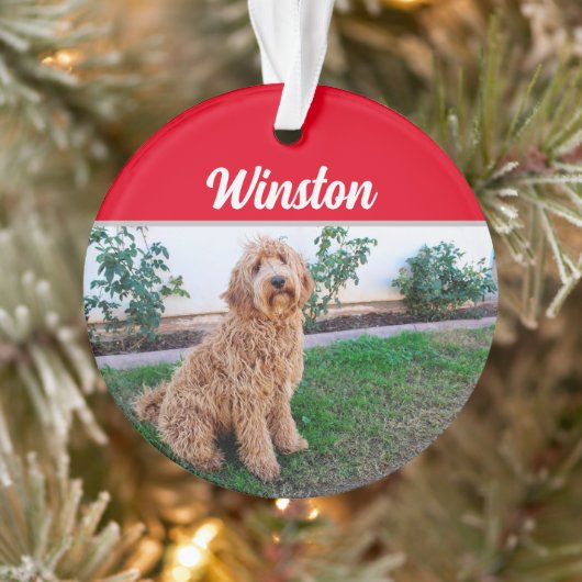 Bruin Labradoedle Dog met naam: kerstfoto Ornament (Boom)