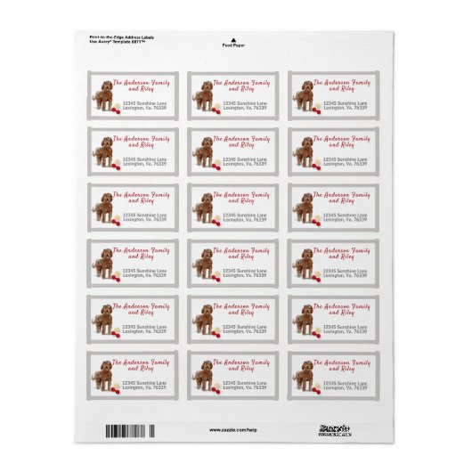 Bruin Labradoodle Toys Home Return Label (Full Sheet)