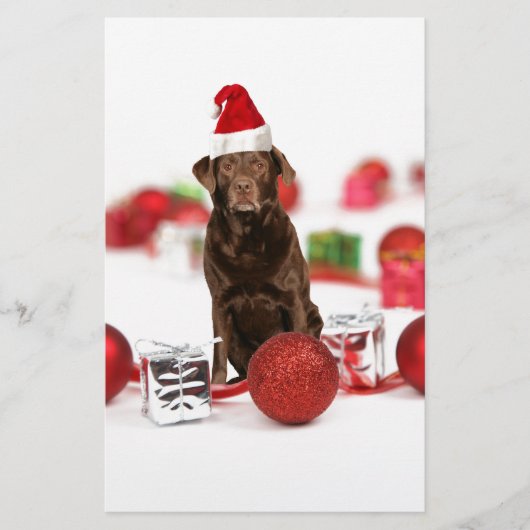 Bruin Labrador Hond Kerstmis w Gifts Santa Hat Briefpapier (Voorkant)