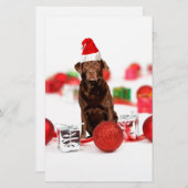 Bruin Labrador Hond Kerstmis w Gifts Santa Hat Briefpapier (Voorkant / Achterkant)