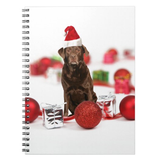 Bruin Labrador Hond Kerstmis w Gifts Santa Hat Notitieboek (Voorkant)