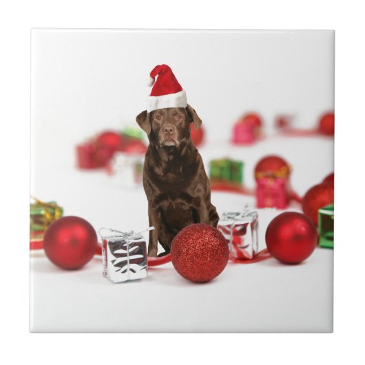 Bruin Labrador Hond Kerstmis w Gifts Santa Hat Tegeltje (Voorkant)