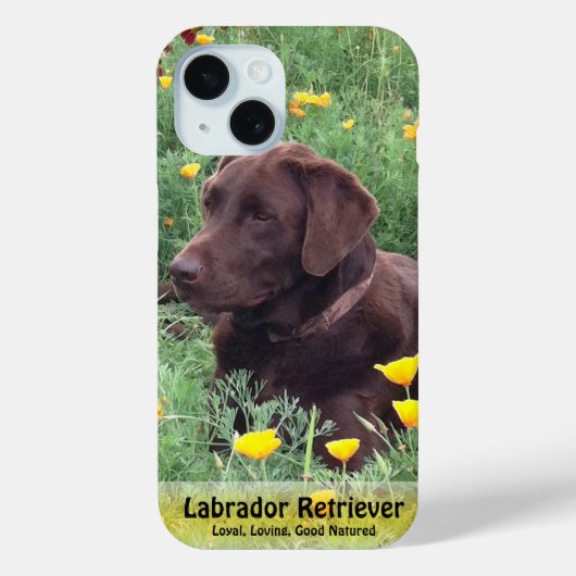 Bruin labrador retriever in Poppy Patch Case-Mate iPhone Case (Achterkant)