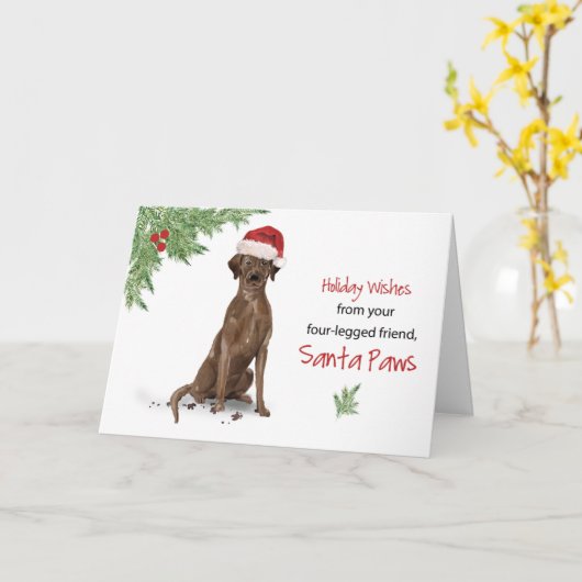 Bruin Labrador Retriever Kerstmis Van Hond In Plez Kaart (Gele Bloem)