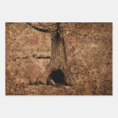  bruin land rustieke grunge boom textuur inpakpapier vel (Voorkant)