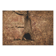  bruin land rustieke grunge boom textuur