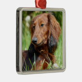 Bruin lang haar Dachshund - Doxie Metalen Ornament (Rechts)