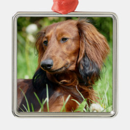 Bruin lang haar Dachshund - Doxie Metalen Ornament