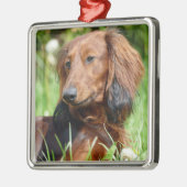 Bruin lang haar Dachshund - Doxie Metalen Ornament (Links)