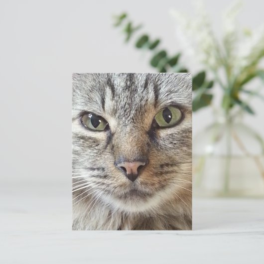 Bruin langharige tablet briefkaart (Staand voorkant)