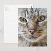 Bruin langharige tablet briefkaart (Voorkant / Achterkant)