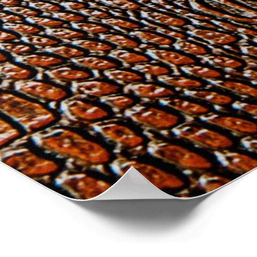 Bruin ledertextureleder, abstract, antiek, ,ba poster (Hoek)