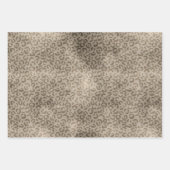 Bruin leopard Print Gold Glitter sparter Inpakpapier Vel (Voorkant 2)