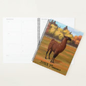 Bruin Llama in het najaar van het Boerderij Planner (Display)