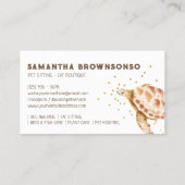 Bruin Loggerhead Zee Turtle Caretta Visitekaartje (Achterkant)