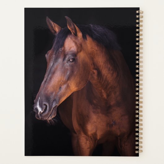 Bruin Majesteit Planner (Achterkant)