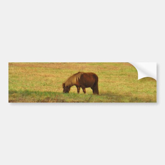 Bruin miniatuur Pony Bumpersticker (Voorkant)