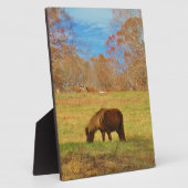 Bruin miniatuur Pony Fotoplaat (Zijkant)