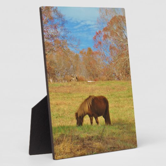 Bruin miniatuur Pony Fotoplaat (Zijkant)