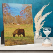 Bruin miniatuur Pony Fotoplaat (Zijkant)