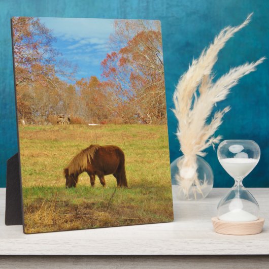 Bruin miniatuur Pony Fotoplaat (Zijkant)