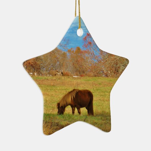 Bruin miniatuur Pony Keramisch Ornament (Rechts)