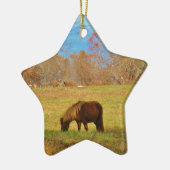 Bruin miniatuur Pony Keramisch Ornament (Links)
