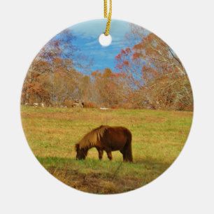 Bruin miniatuur Pony Keramisch Ornament
