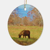 Bruin miniatuur Pony Keramisch Ornament (Links)