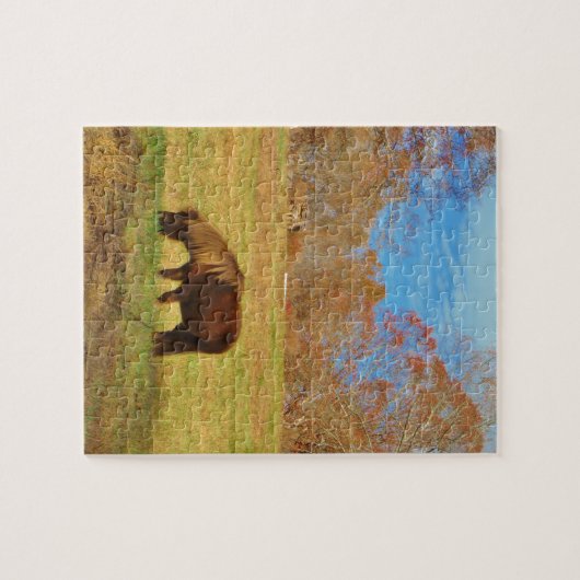 Bruin miniatuur Pony Legpuzzel (Horizontaal)