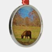 Bruin miniatuur Pony Metalen Ornament (Rechts)
