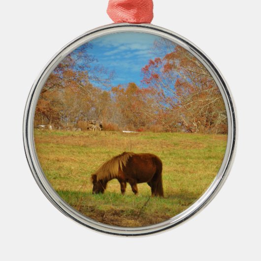 Bruin miniatuur Pony Metalen Ornament (Voorkant)