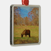 Bruin miniatuur Pony Metalen Ornament (Rechts)