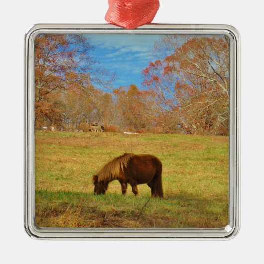 Bruin miniatuur Pony Metalen Ornament (Voorkant)