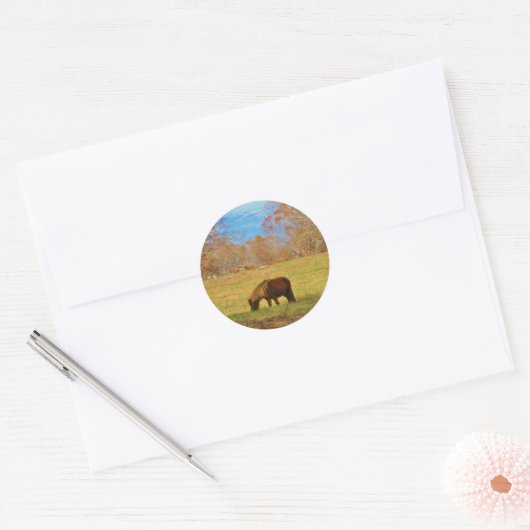 Bruin miniatuur Pony Ronde Sticker (Envelop)