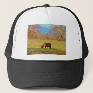 Bruin miniatuur Pony Trucker Pet