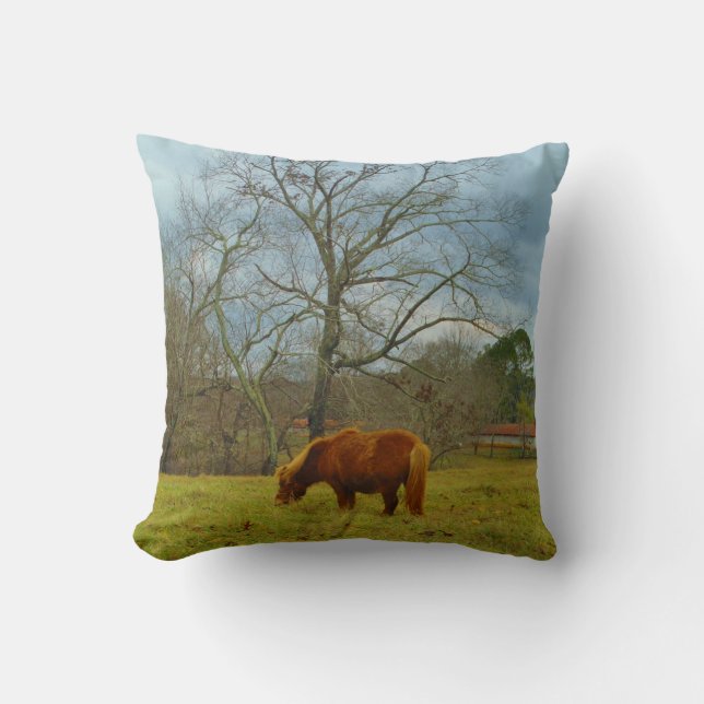 Bruin miniatuurpaard, Bewolkte Blauwe Lucht Kussen (Voorkant)