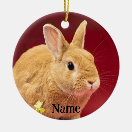 Bruin Neitherland Dwergkonijn Keramisch Ornament (Voorkant)