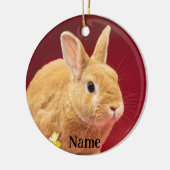 Bruin Neitherland Dwergkonijn Keramisch Ornament (Links)