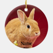 Bruin Neitherland Dwergkonijn Keramisch Ornament (Achterkant)