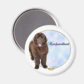Bruin Newfoundland Portret - Magneet (Voorkant / Achterkant)
